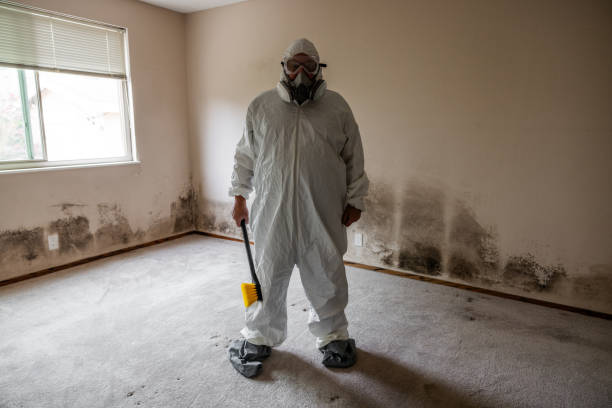 Best Mold Remediation  in Keys, OK