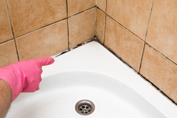 Best Local Mold Removal Service  in Keys, OK